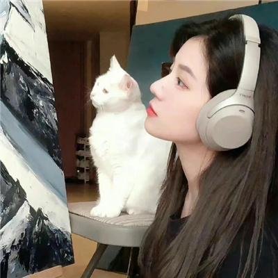 兔子暴力